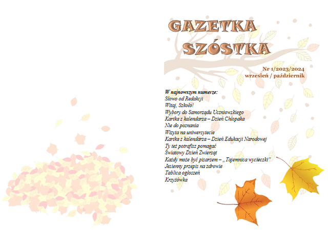 gazetka.png