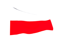 17d561c5c5d6c6b3768f5ad608550230.gif